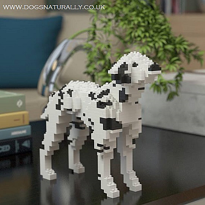 Dalmatian Jekca Available in 2 Colours & 2 Sizes